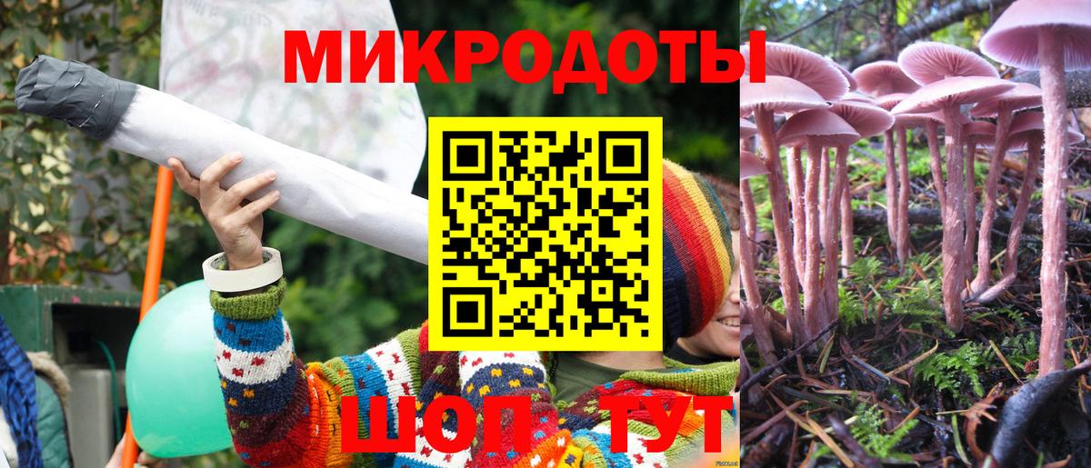 Галлюциногенные грибы мухоморы Знаменск